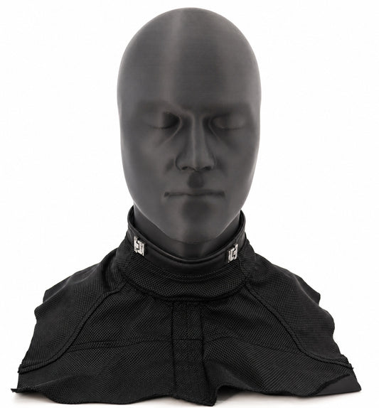 DP2 BIB – Archive Edition