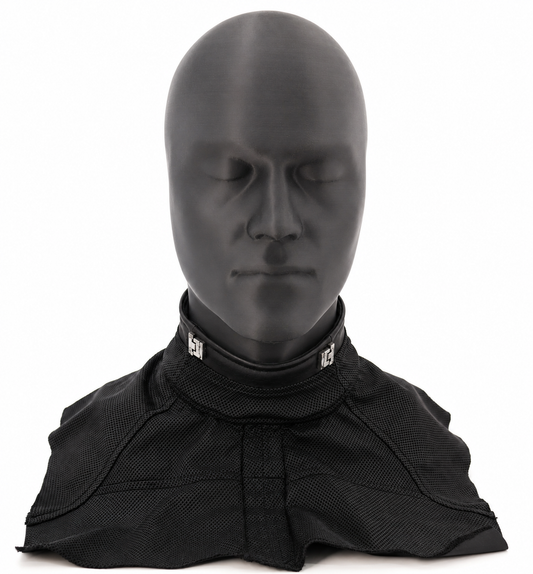 DP2 BIB – Archive Edition